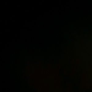 Meet your Posher, Daved